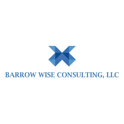 Barrow Wise Consulting, Llc