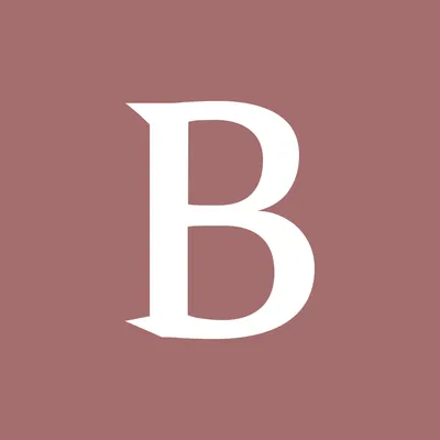 barzel.com logo