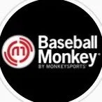Baseballmonkey