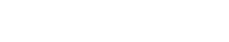 Bastion light logo