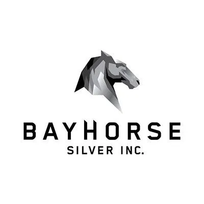 BAYHORSE SILVER INC. logo