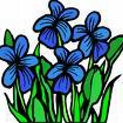 Baysidegardencenter