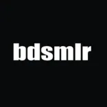 BDSMLR logo/icon