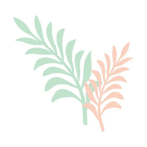 Beautyfresh