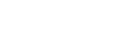 BedStory light logo