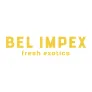 Logo Bel Impex