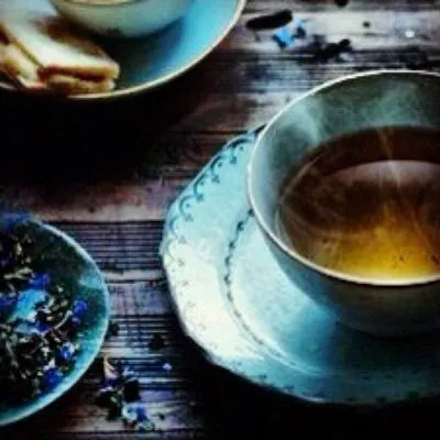 Bellocq (Official Website)