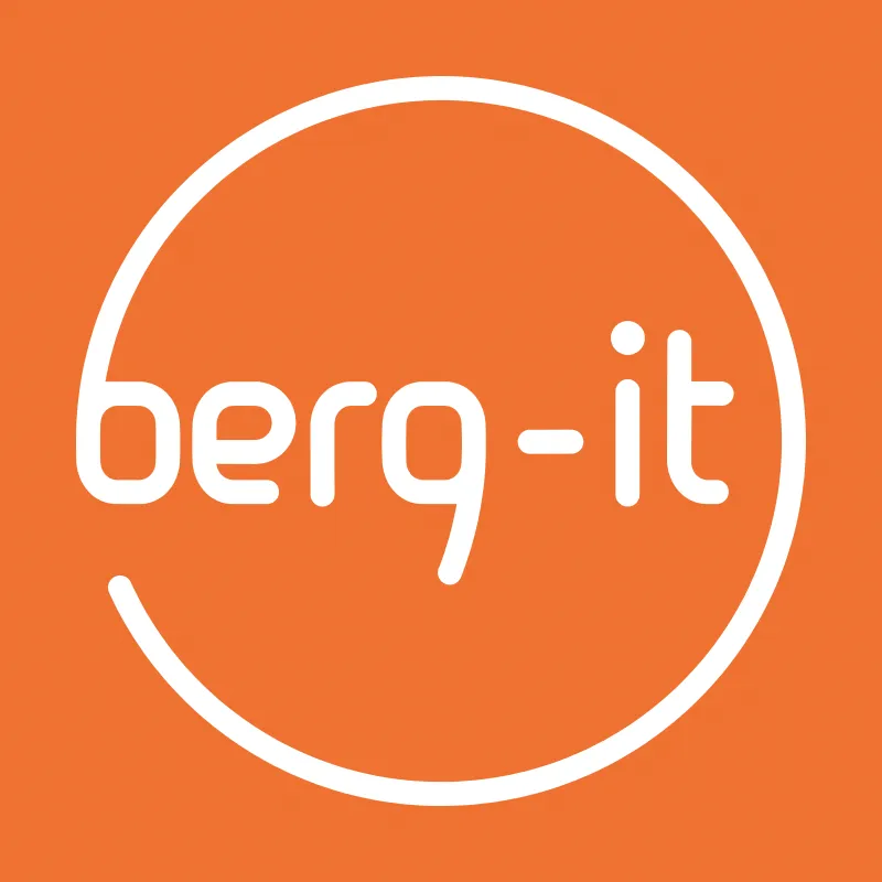 berg-it Projektdienstleistungen GmbH logo