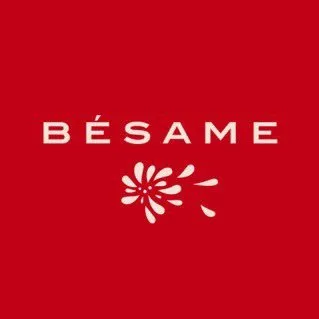 besamecosmetics.com logo