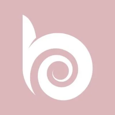 bestbronze.com.br logo