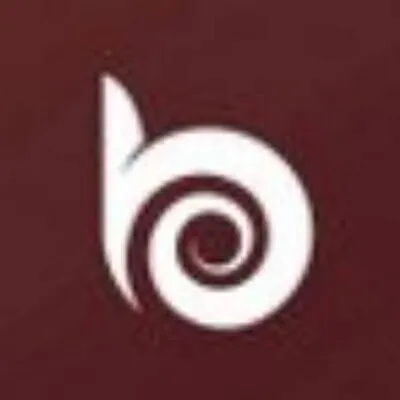 Best Bronze logo