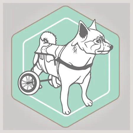 Best Friend Mobility logo