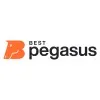 BESTPEGASUS LLC logo