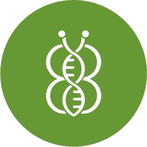 Beta Bugs logo