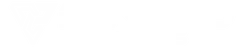 Beyond Riders light logo