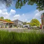 Logo Bie Olthof - Collenstaartweg