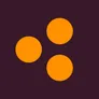 Logo Big Orange