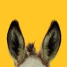 bigassfans.com logo
