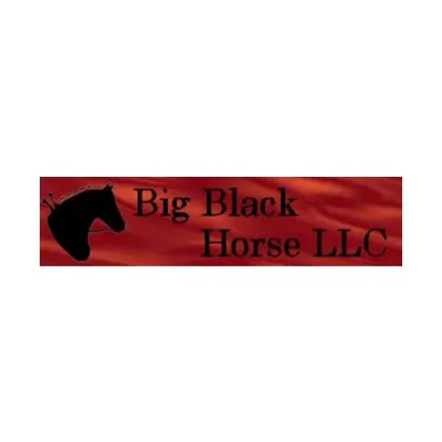 Bigblackhorse