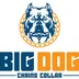 Big Dog Chains Collars logo