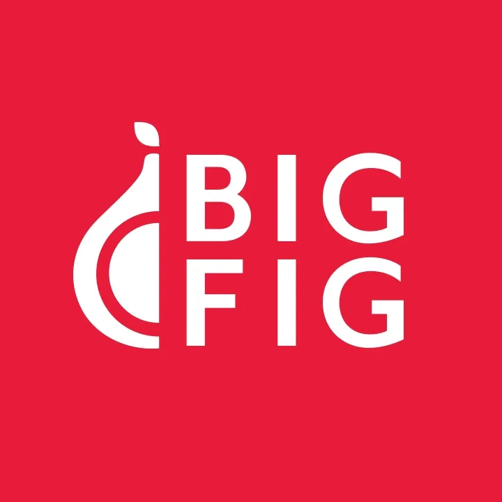 Bigfigmattress