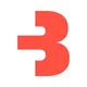 Bigfish.nl logo