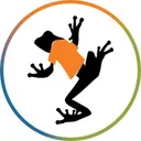 Big Frog Custom T-Shirts logo
