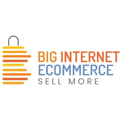 Big Internet Seller Services Inc logo