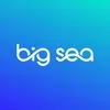 Big Sea's company logo