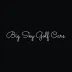 Big Sky Golf Cars logo