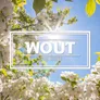 Logo bij Wout
