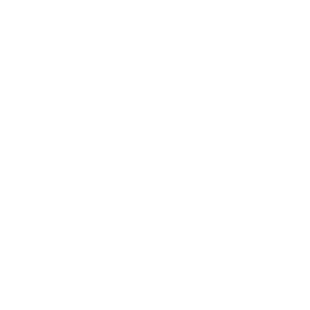 BikeReg.com light logo