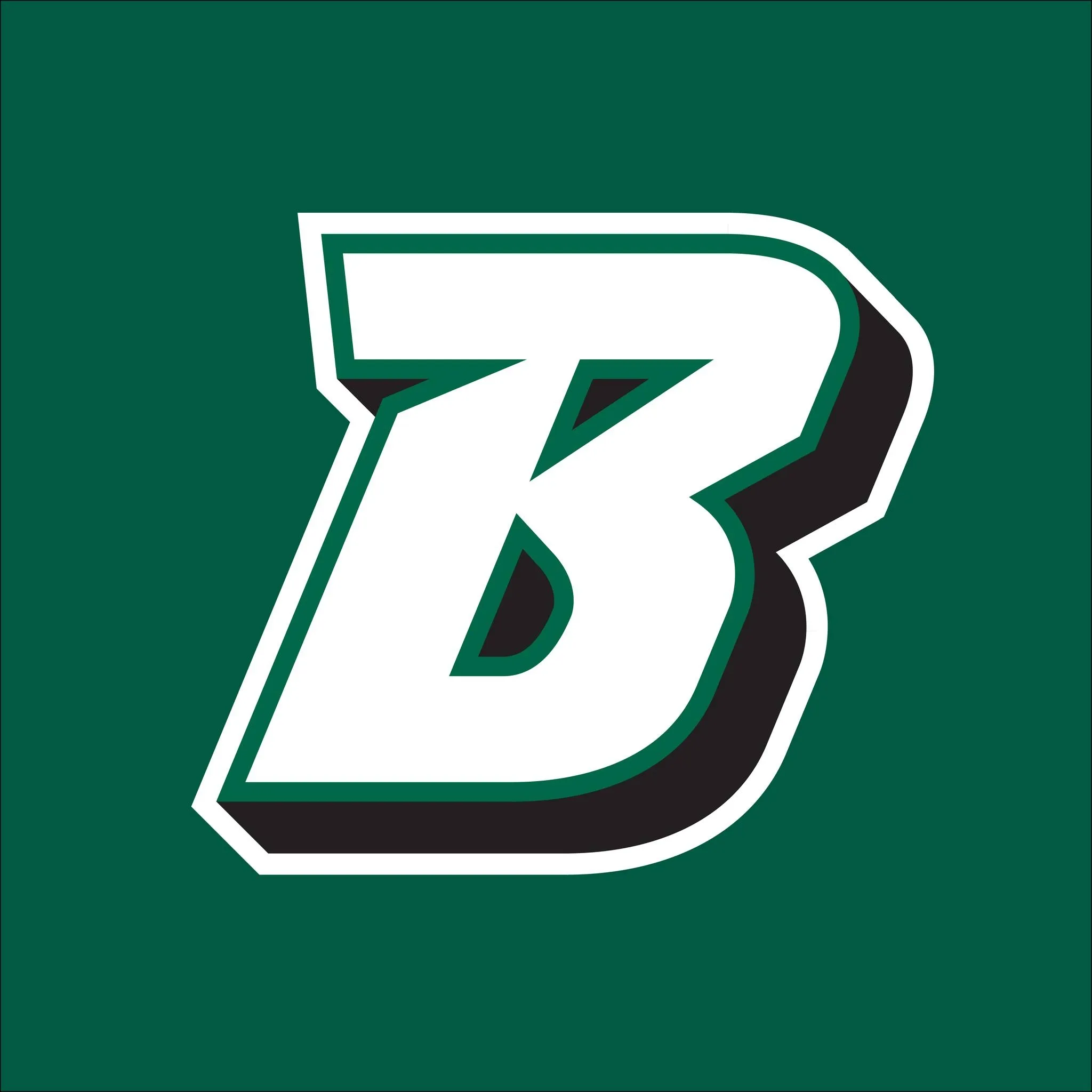 Binghamton University - Men's Wrestling