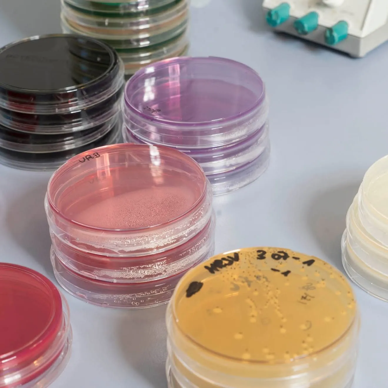 Bio-Diagnostix Labor GmbH
