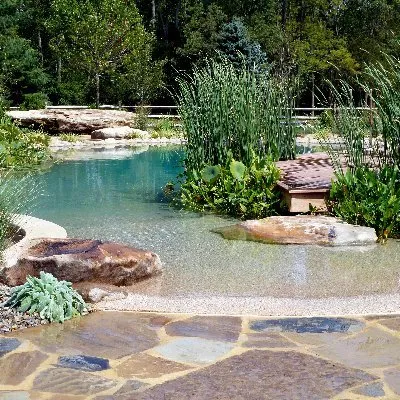 BioNova Natural Pools franchise logo