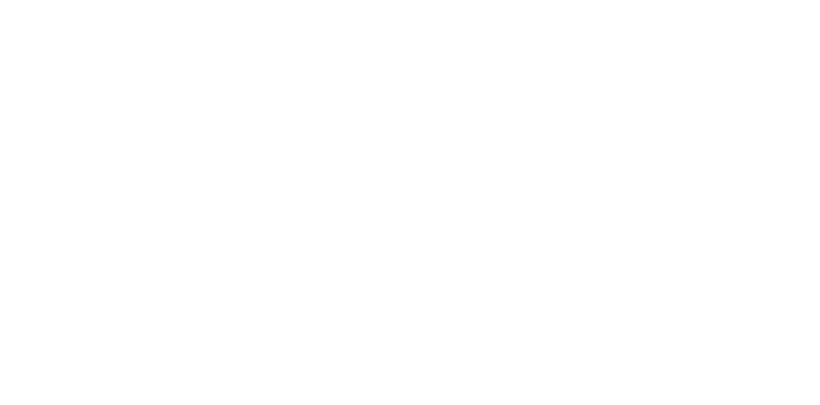 Bir logo