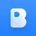 birdie.so logo