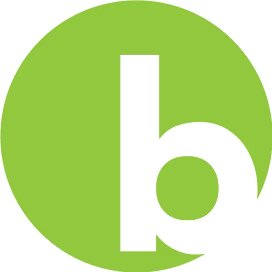 BirdieBall logo