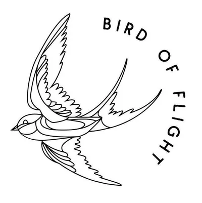 birdofflightshoes.com logo