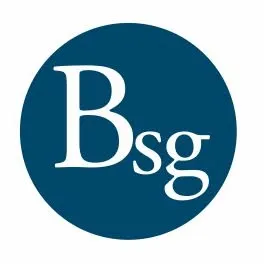 Birdsall Services Group Logo