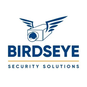 Birdseye Security Solutions Logo