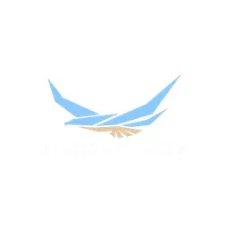 BirdsEyeView logo