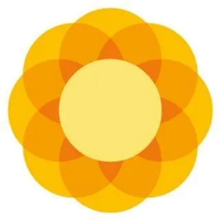 Birmingham Children's Trust logo