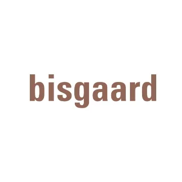 Bisgaard shoes de logo