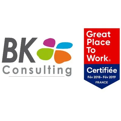 BK Consulting logo