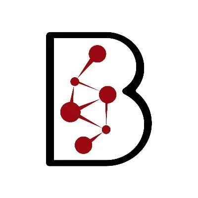 BKR Capital logo