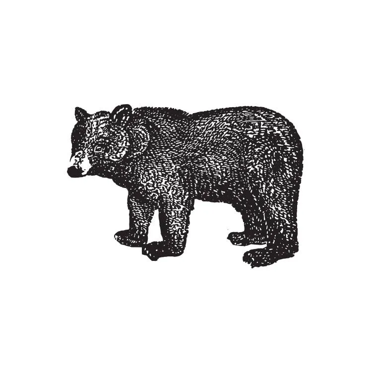 Black Bear Bread Co.