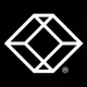 Black Box Network Services logo
