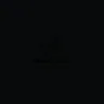 Black Duck Agency logo