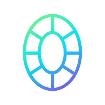Black Opal Ventures logo